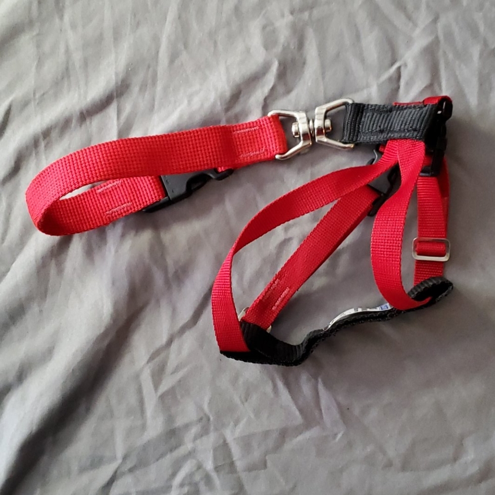 Dog car safety harness